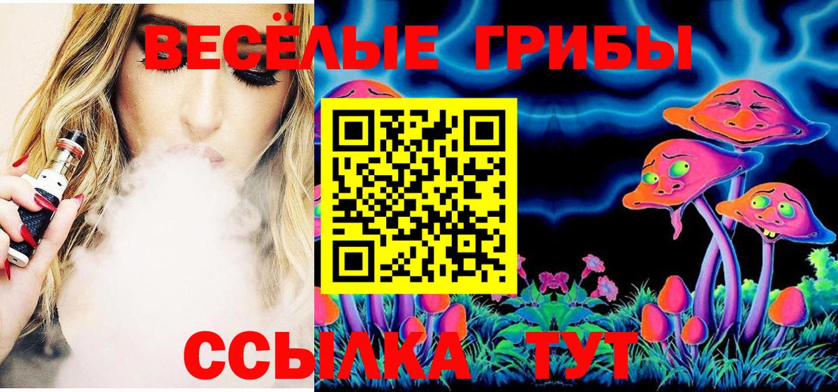 закладки  Галлюциногенные грибы Magic Shrooms  Вышний Волочёк  Вход с VPN  Псилоцибиновые грибы MAGIC MUSHROOMS 