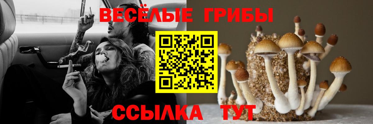 Галлюциногенные грибы ЛСД Вышний Волочёк